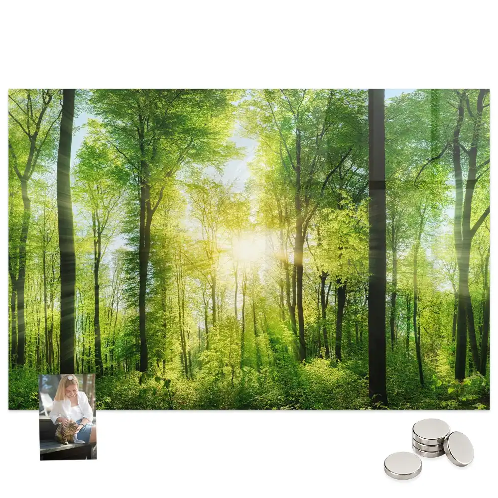 Tableau magnétique motif forêt