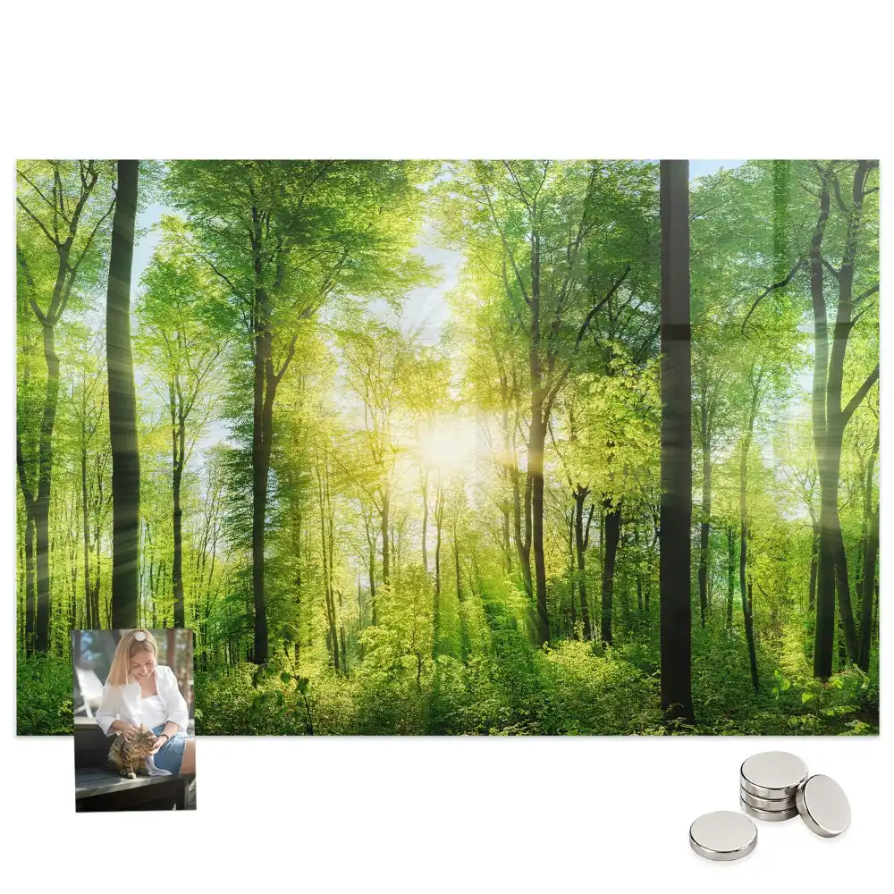 Tableau magnétique motif forêt