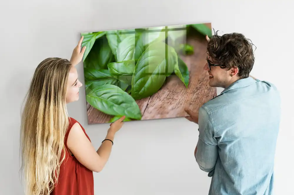 Tableau aimanté décoratif basilic vert