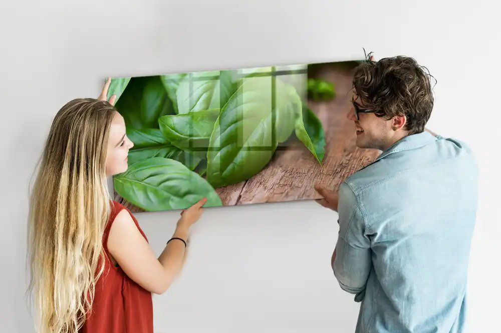 Tableau aimanté décoratif basilic vert