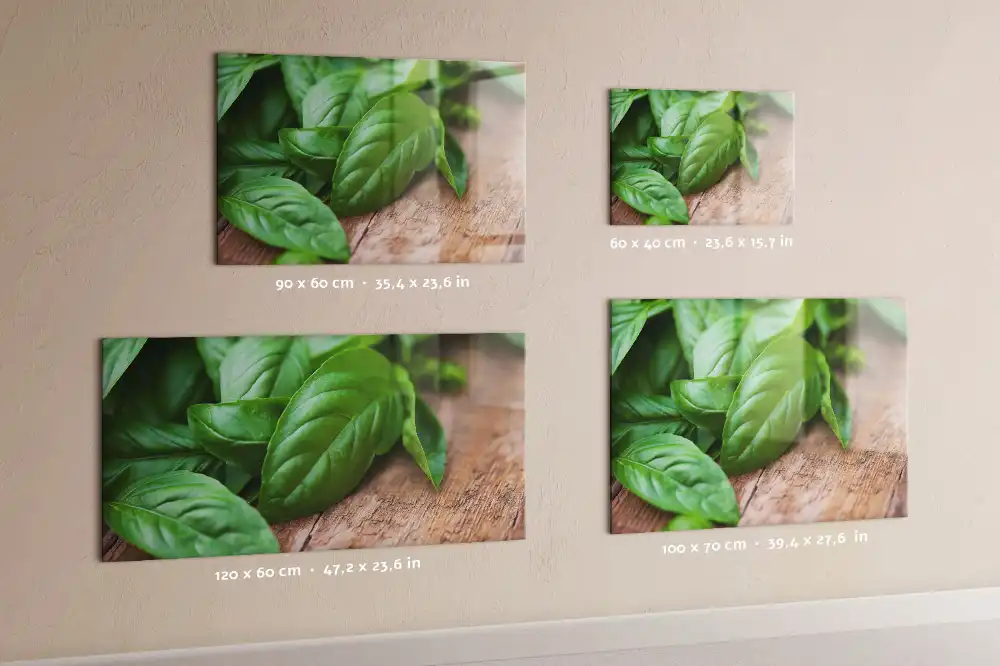 Tableau aimanté décoratif basilic vert
