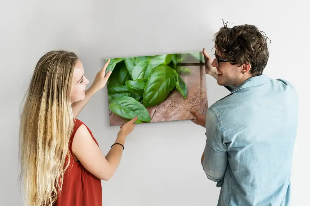 Tableau aimanté décoratif basilic vert