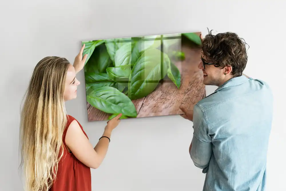 Tableau aimanté décoratif basilic vert