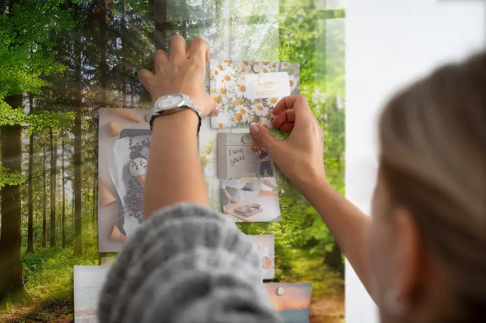 Tableau en verre magnétique Forêt le matin