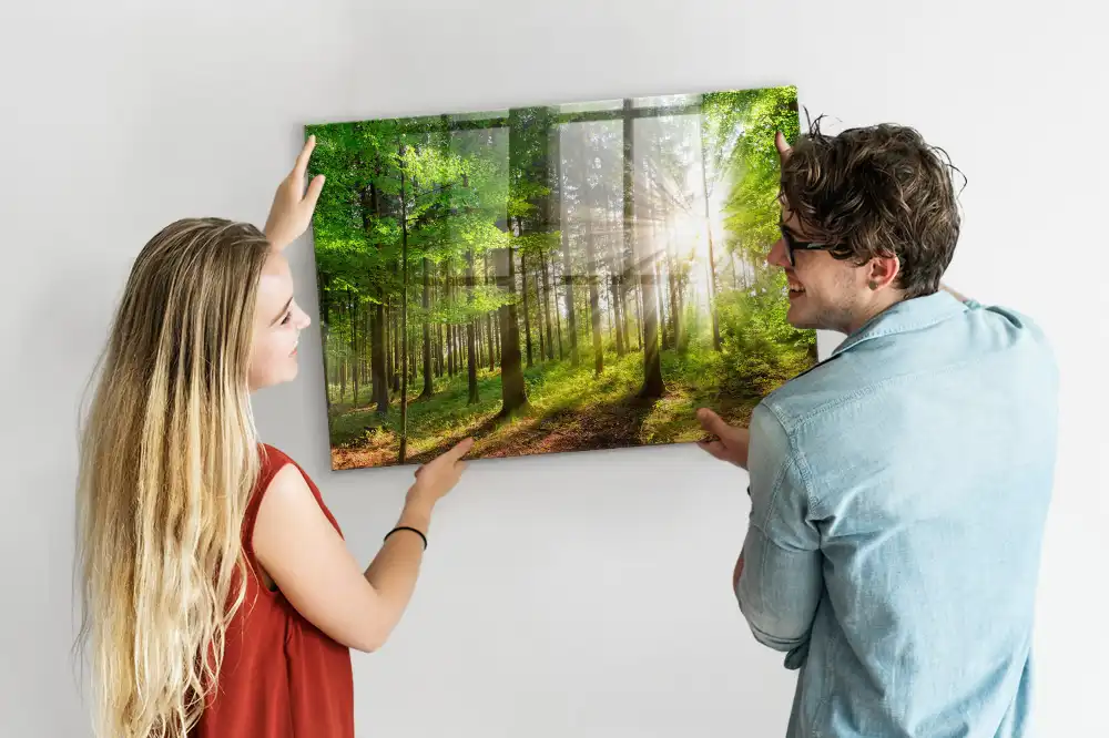Tableau en verre magnétique Forêt le matin
