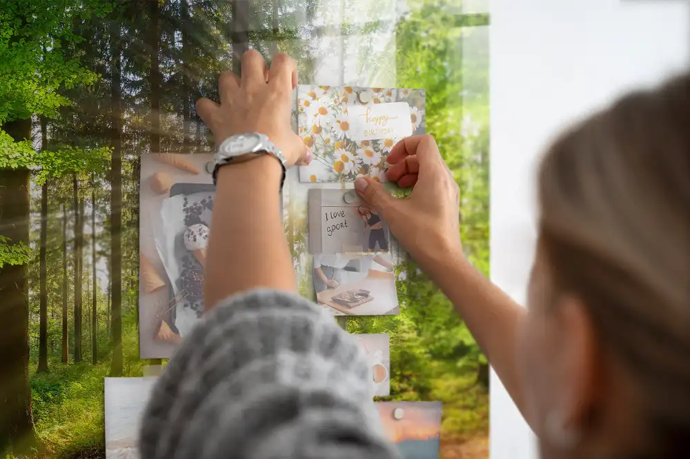 Tableau en verre magnétique Forêt le matin