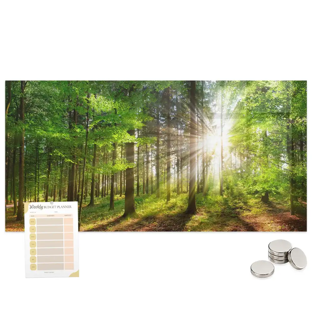 Tableau en verre magnétique Forêt le matin