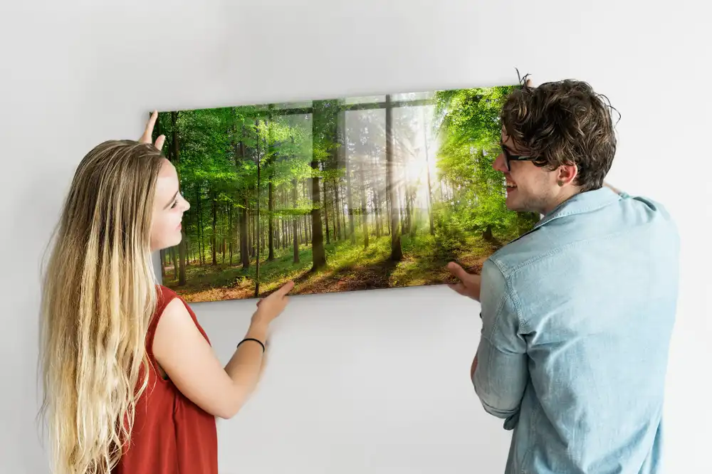 Tableau en verre magnétique Forêt le matin