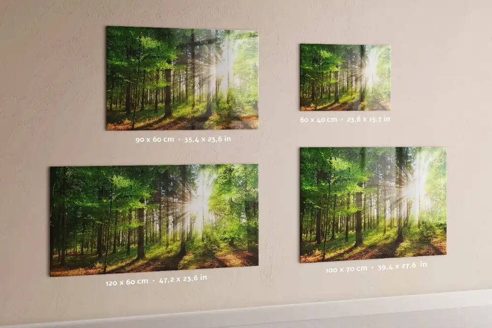 Tableau en verre magnétique Forêt le matin