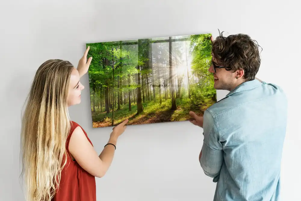 Tableau en verre magnétique Forêt le matin