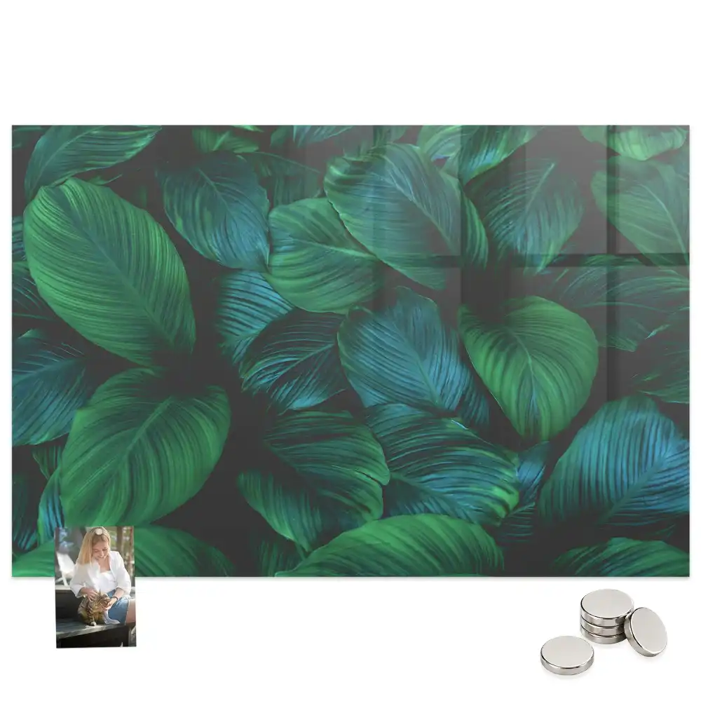 Tableau magnétique en verre motif feuilles caduques