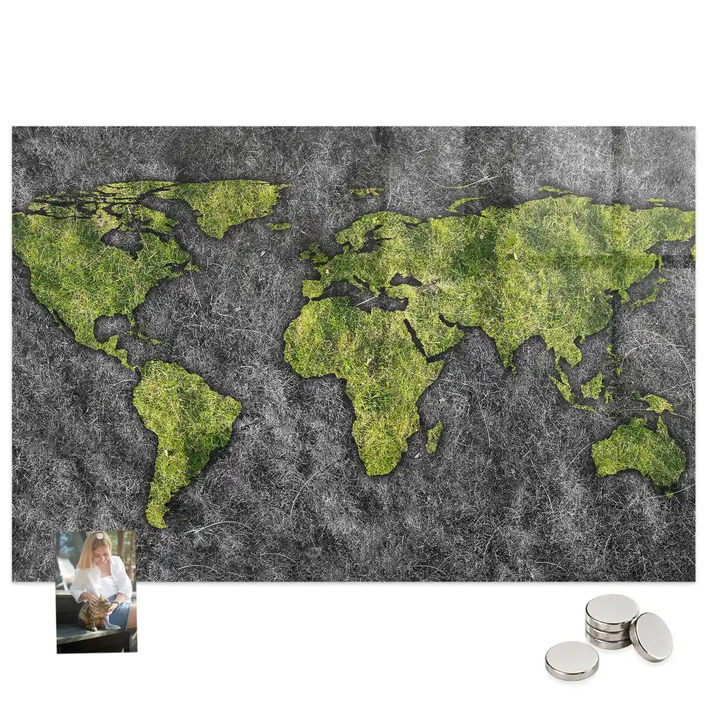 Tableau mural magnétique atlas mondial