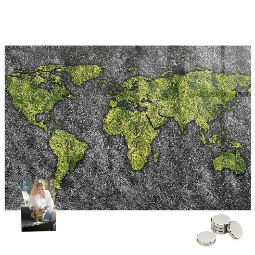 Tableau mural magnétique atlas mondial