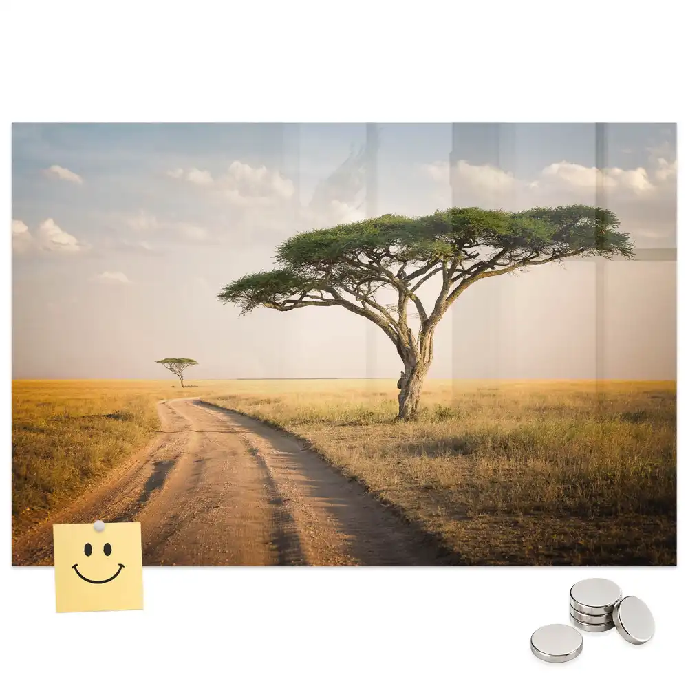 Tableau magnétique motif savane africaine pour magnets