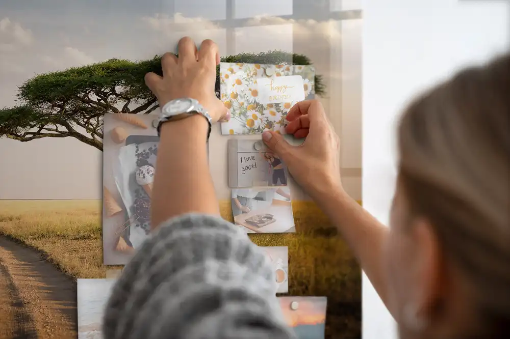 Tableau magnétique motif savane africaine pour magnets