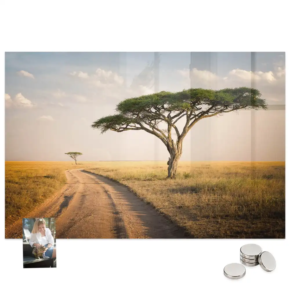 Tableau magnétique motif savane africaine pour magnets