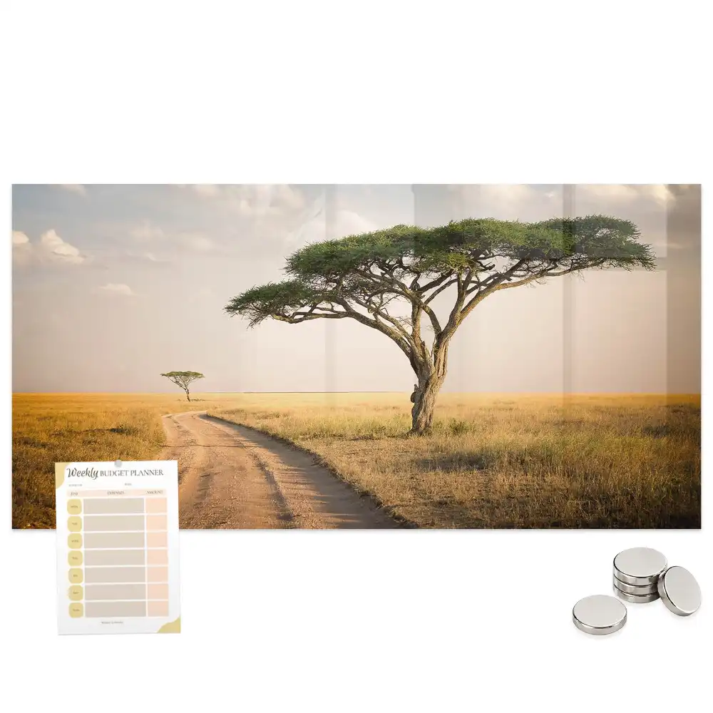 Tableau magnétique motif savane africaine pour magnets