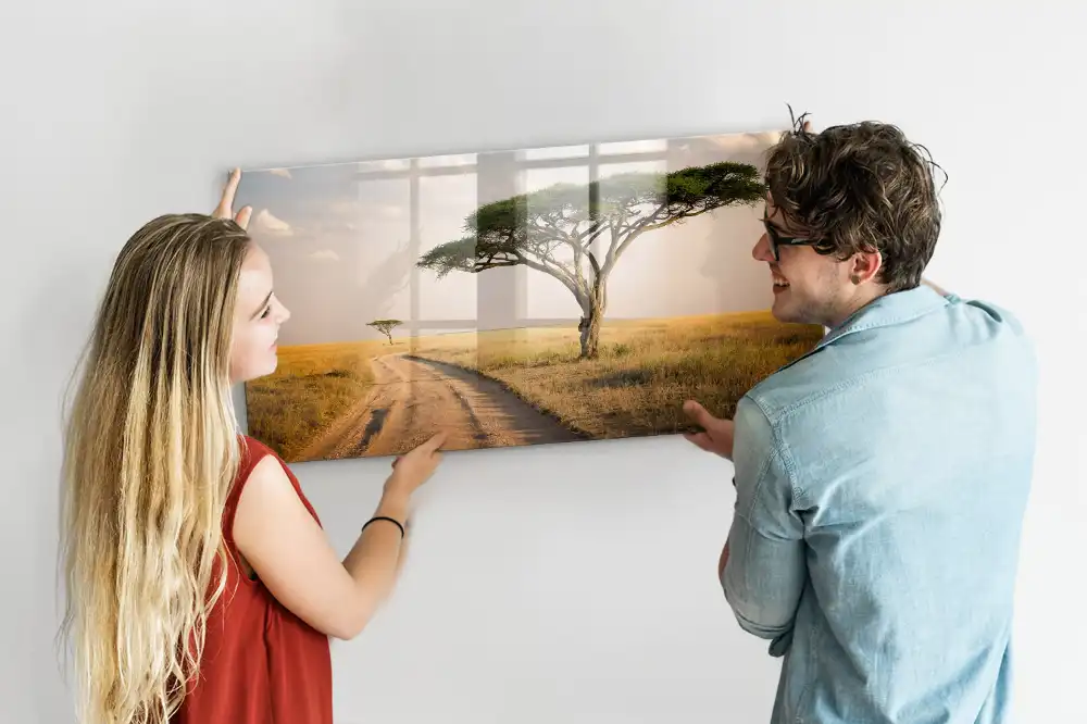 Tableau magnétique motif savane africaine pour magnets