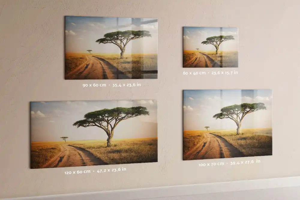 Tableau magnétique motif savane africaine pour magnets