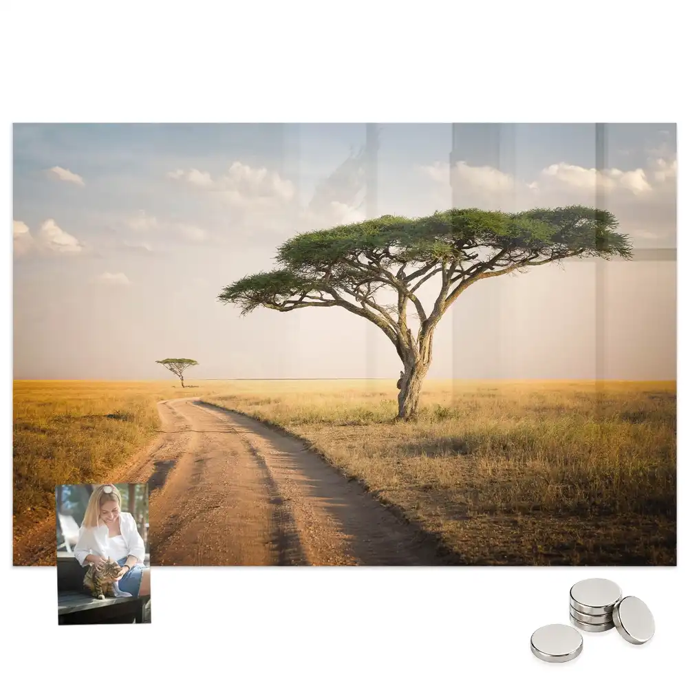 Tableau magnétique motif savane africaine pour magnets