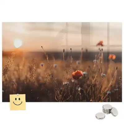 Tableau magnétique en verre motif prairie au lever du soleil