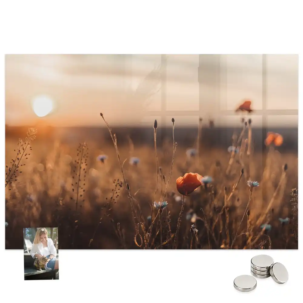 Tableau magnétique en verre motif prairie au lever du soleil