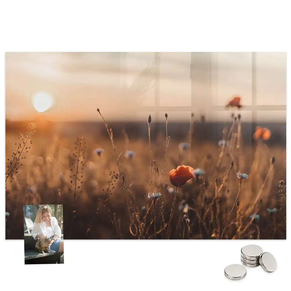 Tableau magnétique en verre motif prairie au lever du soleil