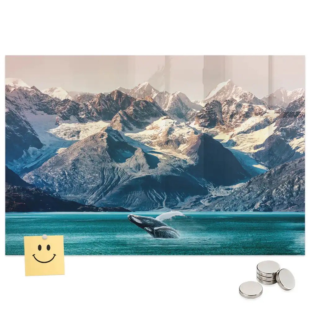 Tableau magnétique en verre motif mammifère marin