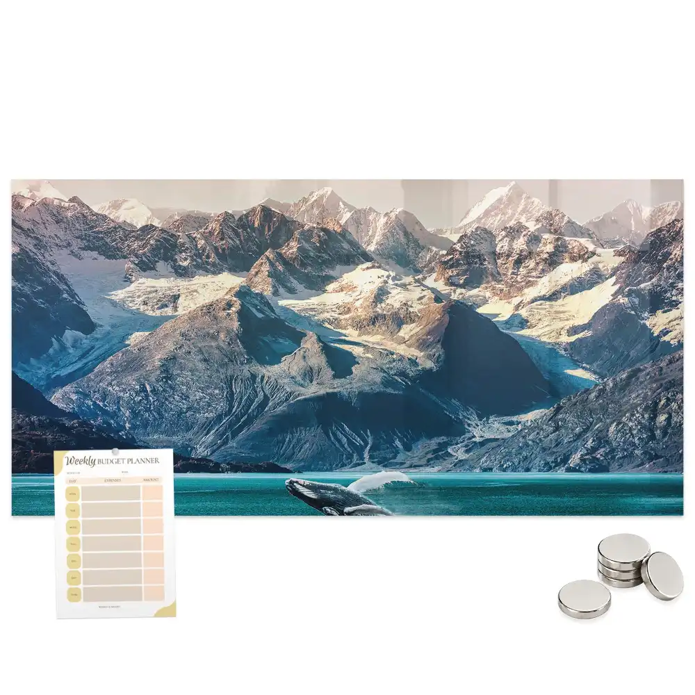 Tableau magnétique en verre motif mammifère marin