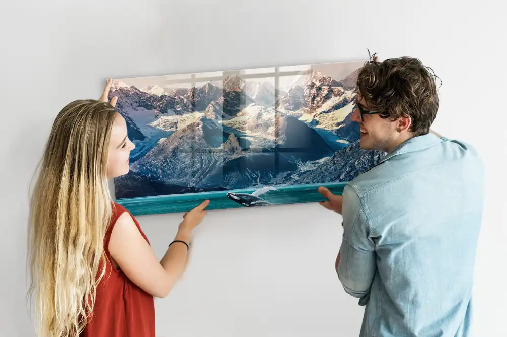 Tableau magnétique en verre motif mammifère marin