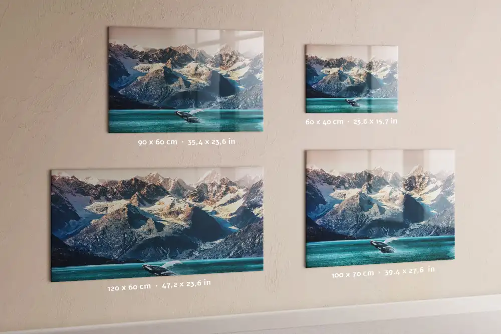 Tableau magnétique en verre motif mammifère marin