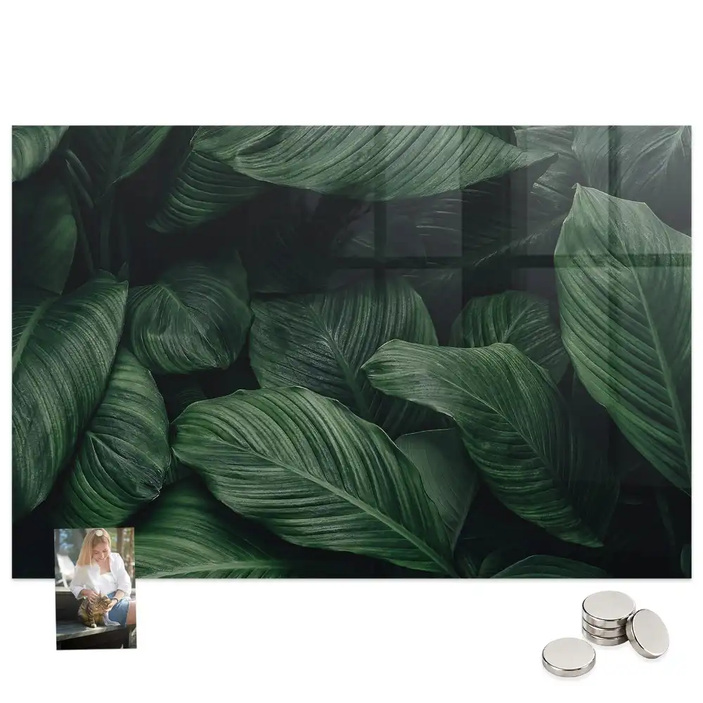 Tableau magnétique décoratif motif monstera exotique