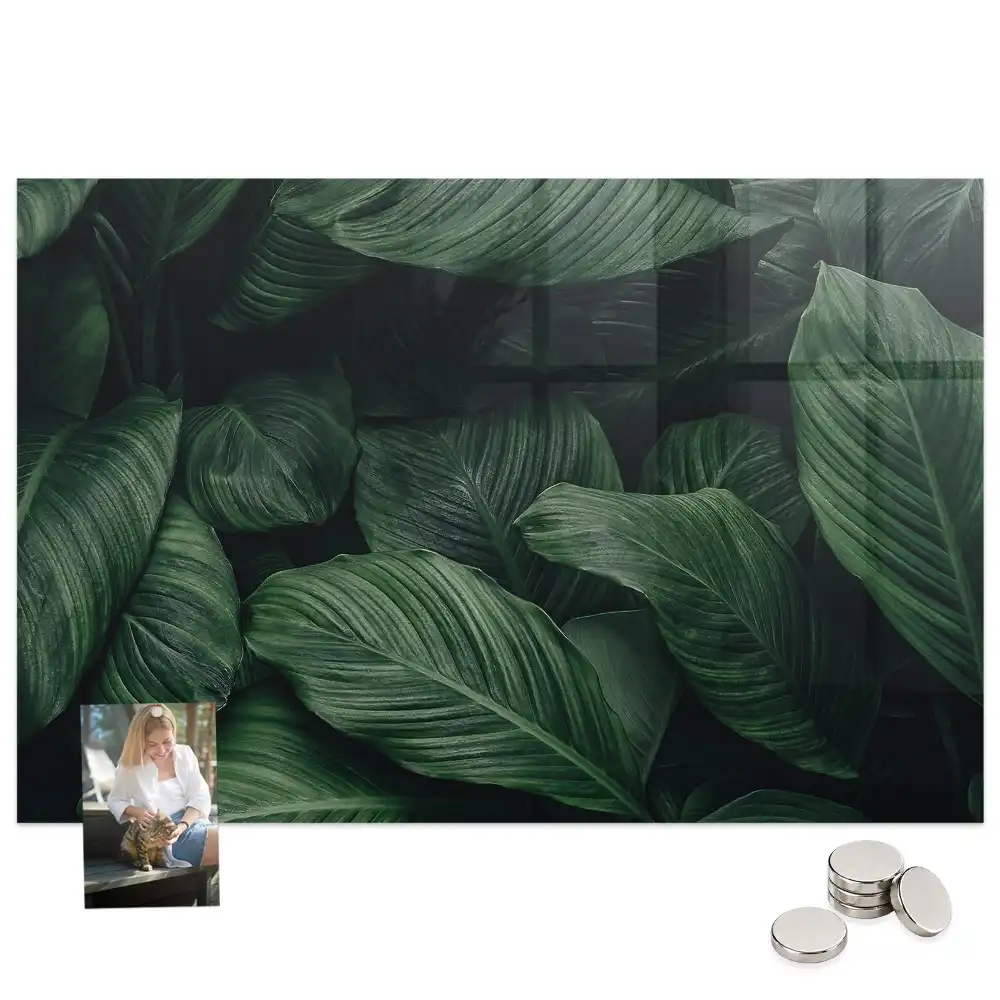Tableau magnétique décoratif motif monstera exotique