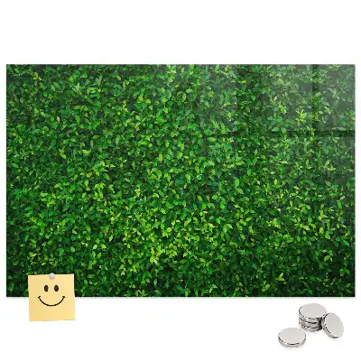 Tableau magnétique en verre motif feuillage