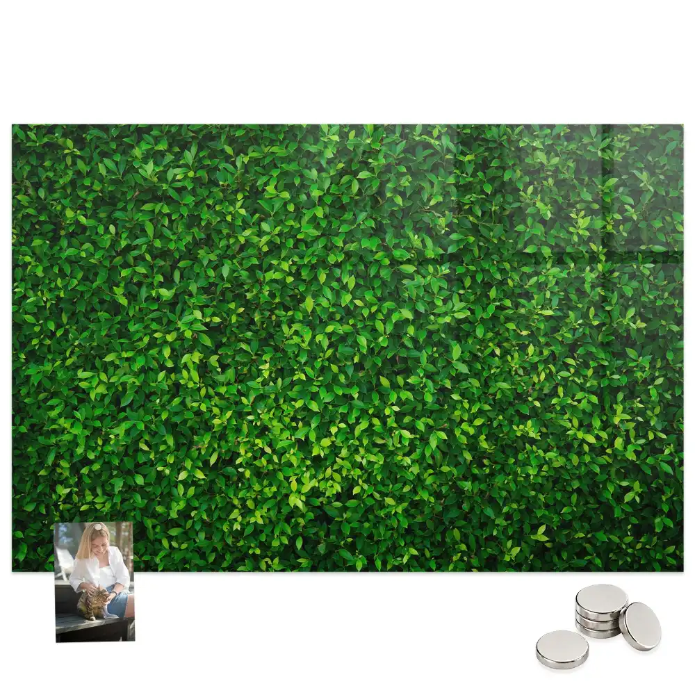 Tableau magnétique en verre motif feuillage