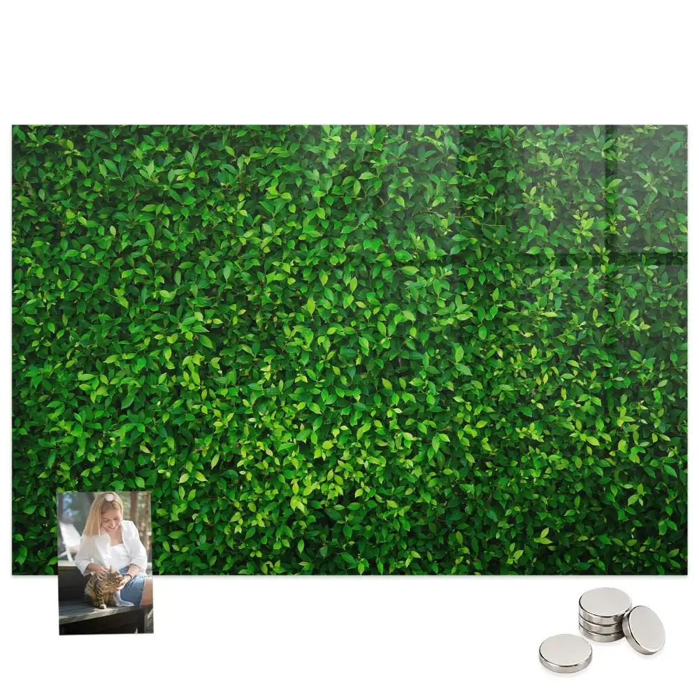 Tableau magnétique en verre motif feuillage