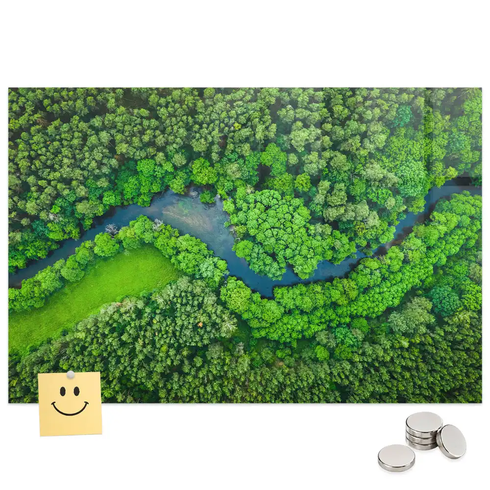 Tableau aimanté décoratif paysage de ruisseau forestier