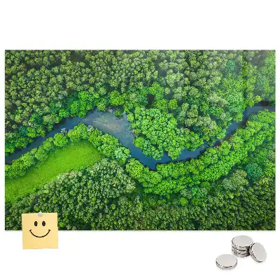 Tableau aimanté décoratif paysage de ruisseau forestier