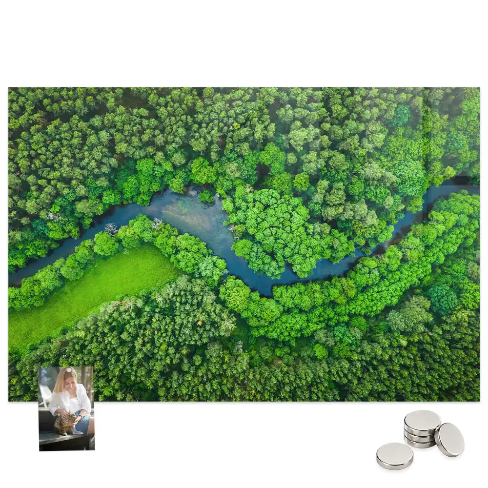 Tableau aimanté décoratif paysage de ruisseau forestier