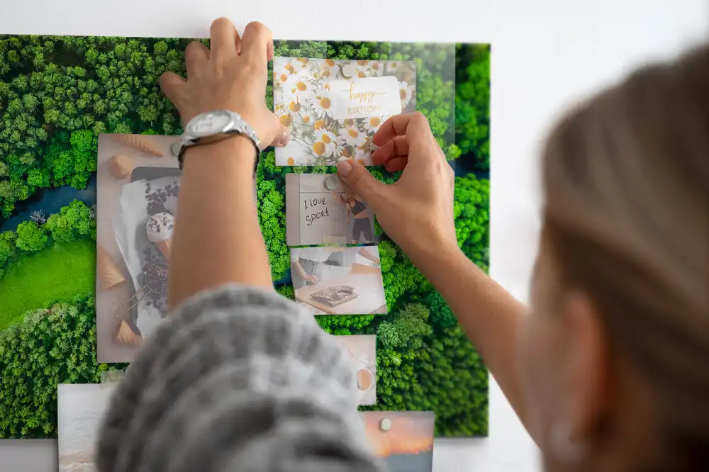 Tableau aimanté décoratif paysage de ruisseau forestier