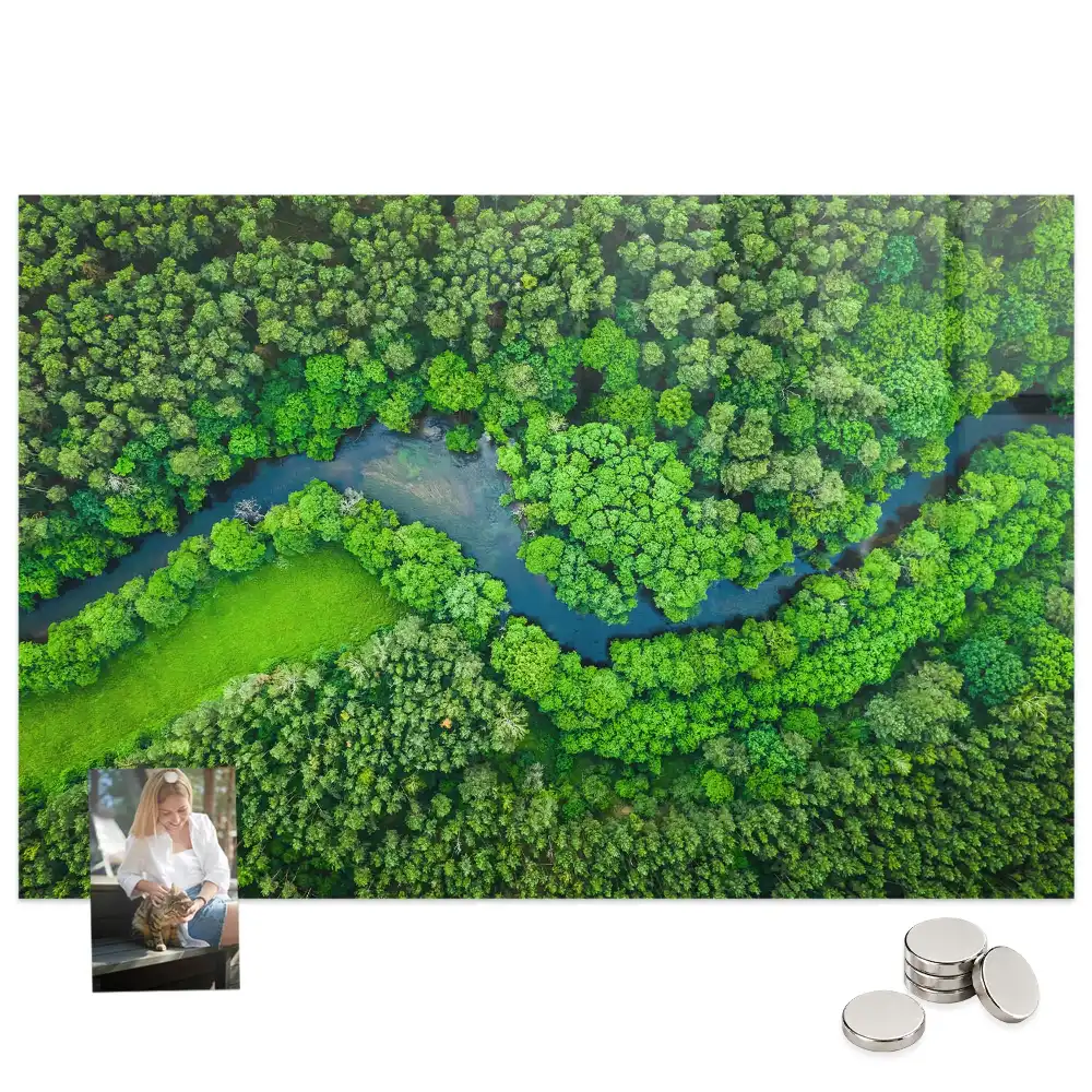 Tableau aimanté décoratif paysage de ruisseau forestier