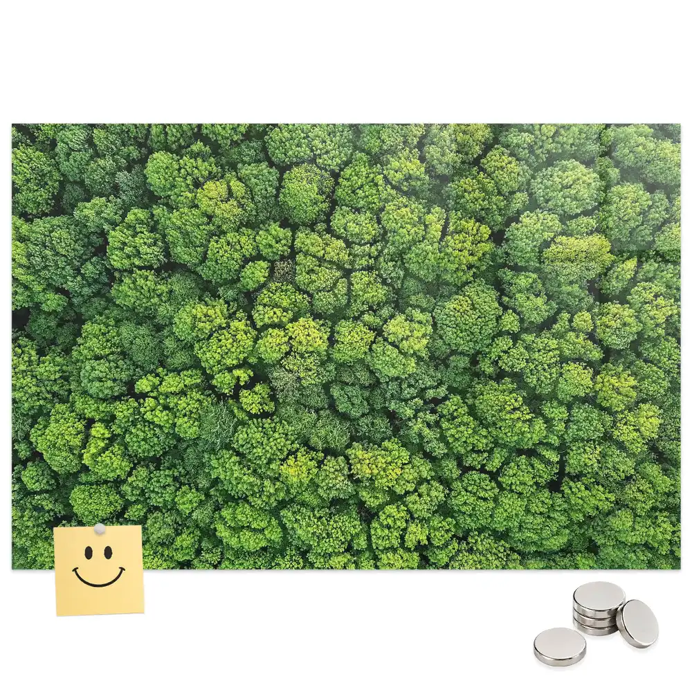Tableau mural magnétique vue aérienne de la forêt