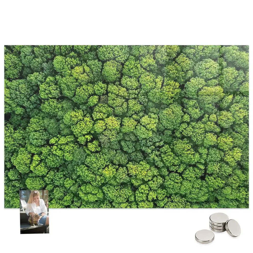 Tableau mural magnétique vue aérienne de la forêt