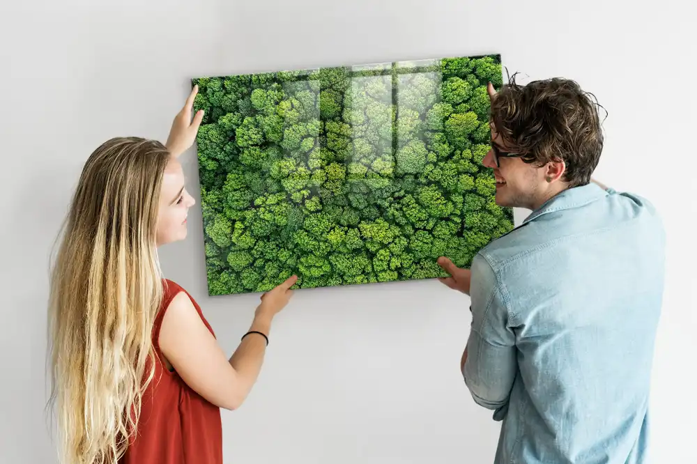 Tableau mural magnétique vue aérienne de la forêt