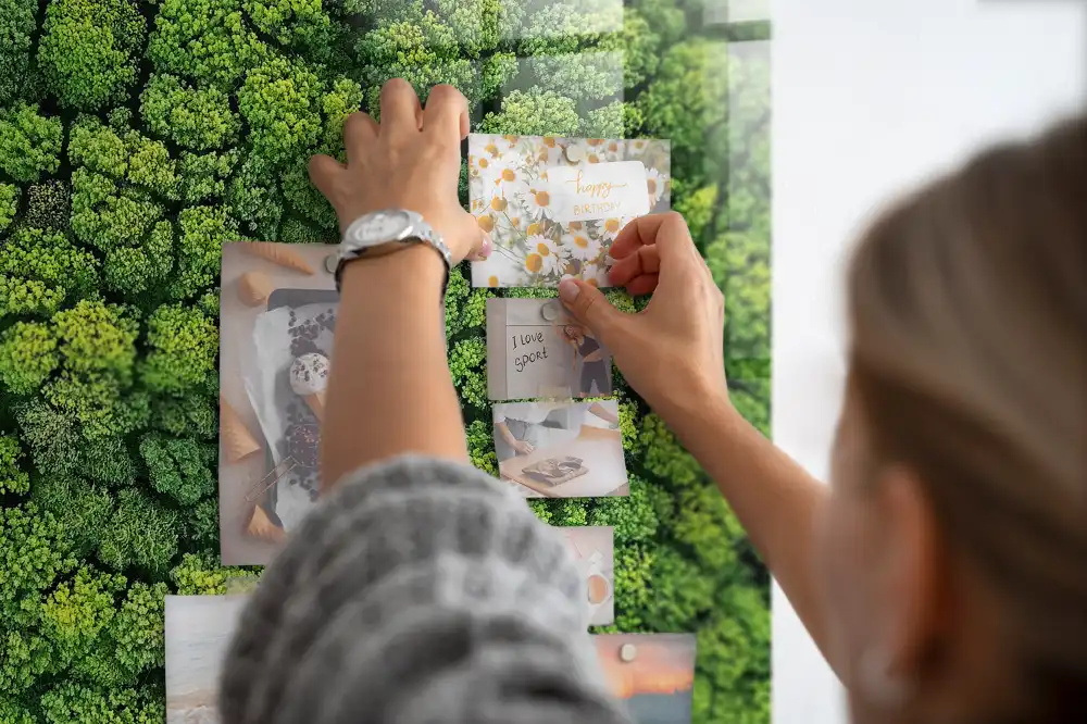 Tableau mural magnétique vue aérienne de la forêt