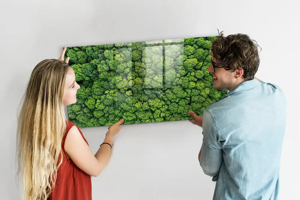 Tableau mural magnétique vue aérienne de la forêt