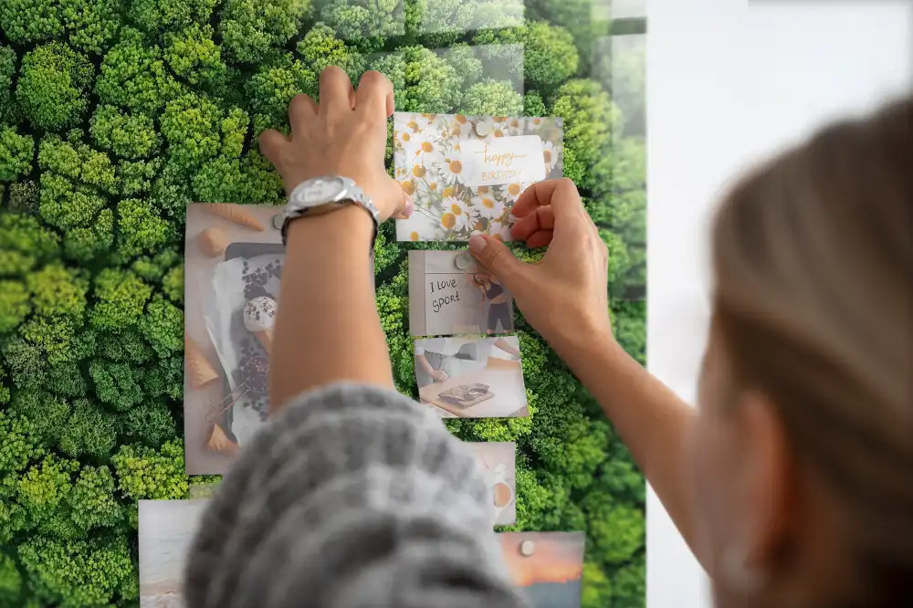 Tableau mural magnétique vue aérienne de la forêt