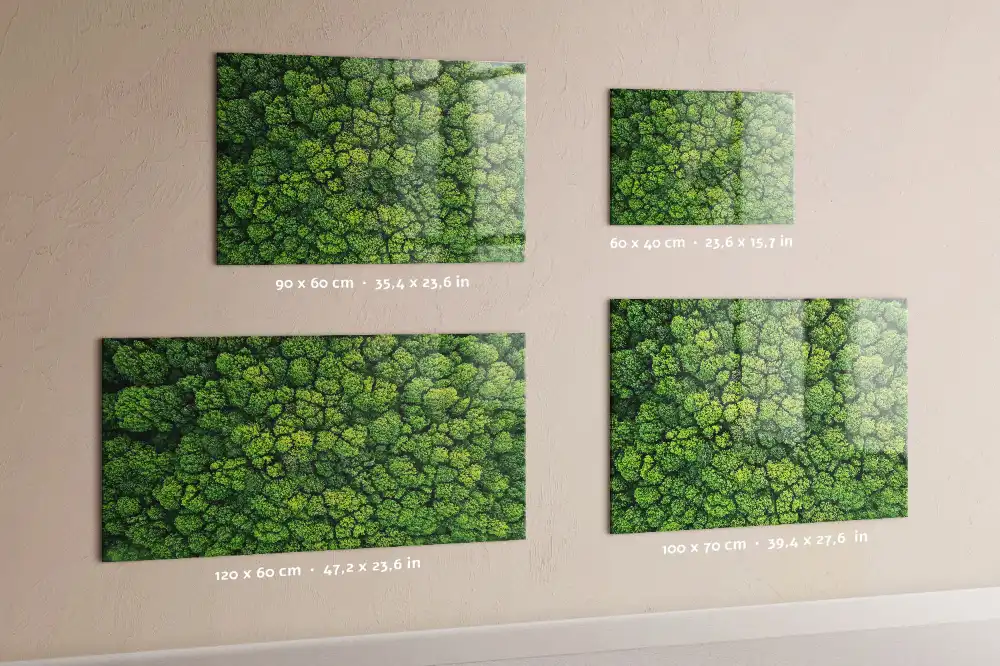 Tableau mural magnétique vue aérienne de la forêt