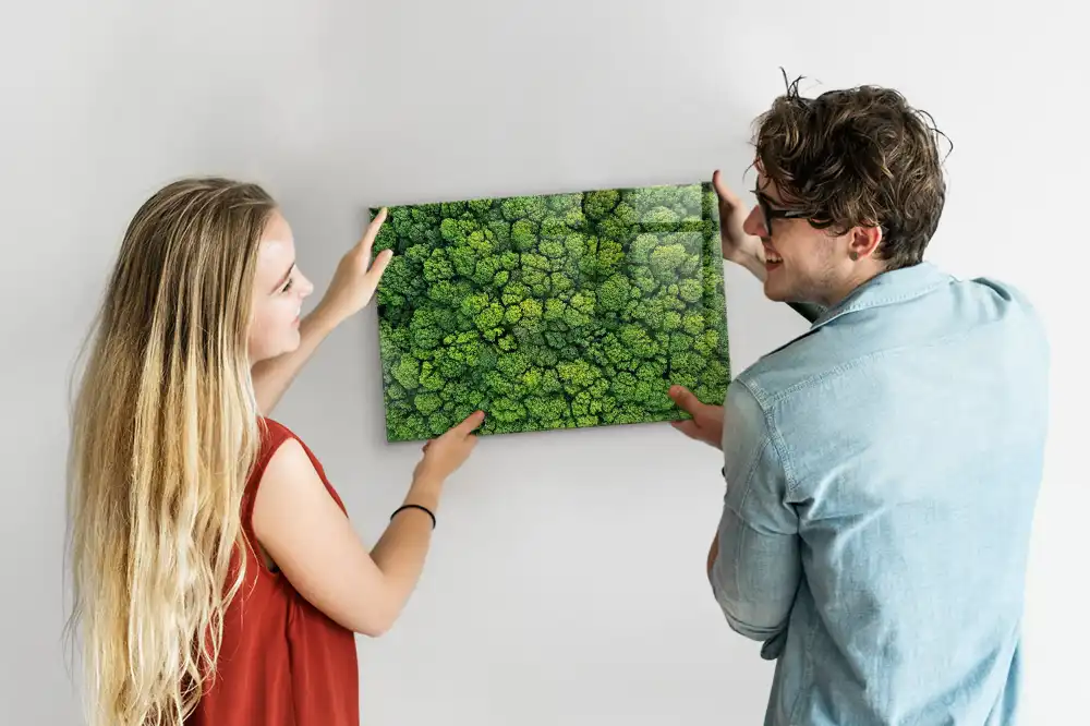 Tableau mural magnétique vue aérienne de la forêt