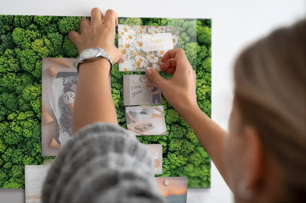 Tableau mural magnétique vue aérienne de la forêt